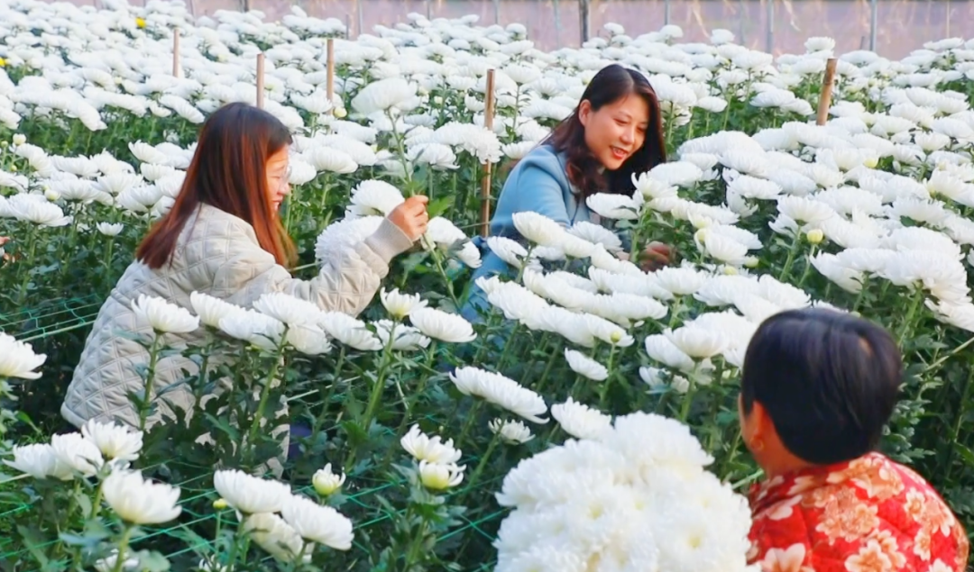 �F�ǅ^(q��)���ջ������M�ء���