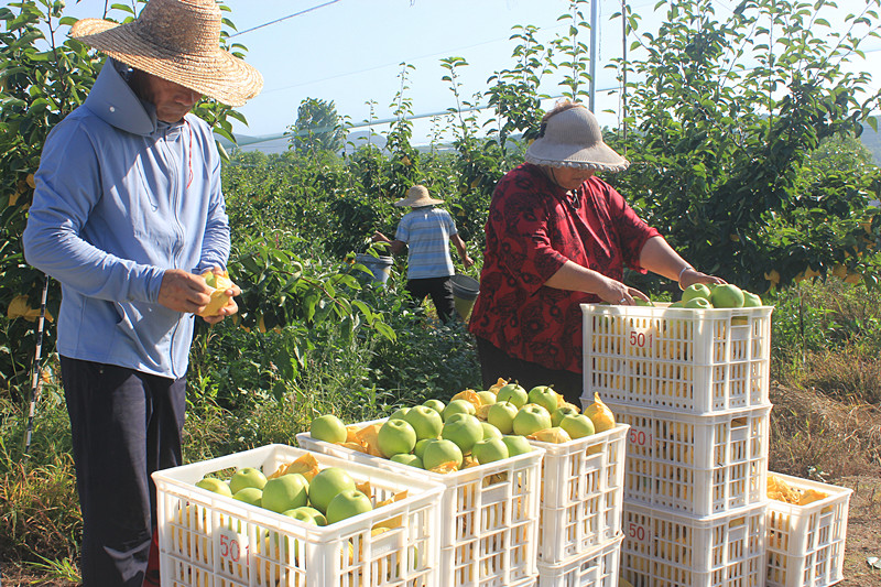 ��ó������Ѕ^(q��)ǰ�����@�����@���������ˣ�