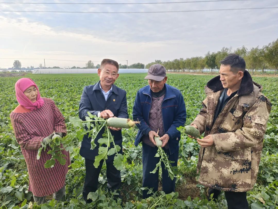 ������L�r�������f(xi��)ί�T��ֱ������ɳ�������}�����պ���ζ